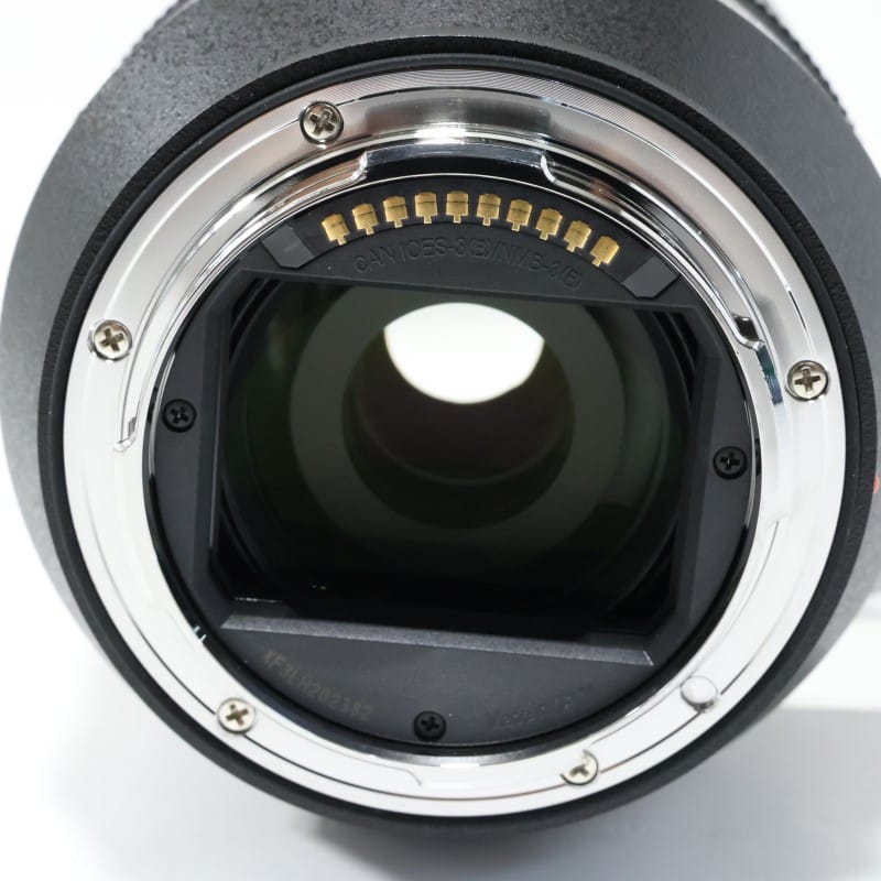 LUMIX S 24-105mm F4 MACRO O.I.S. S-R24105
