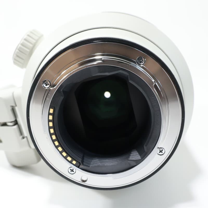 FE 70-200mm F2.8 GM OSS SEL70200GM