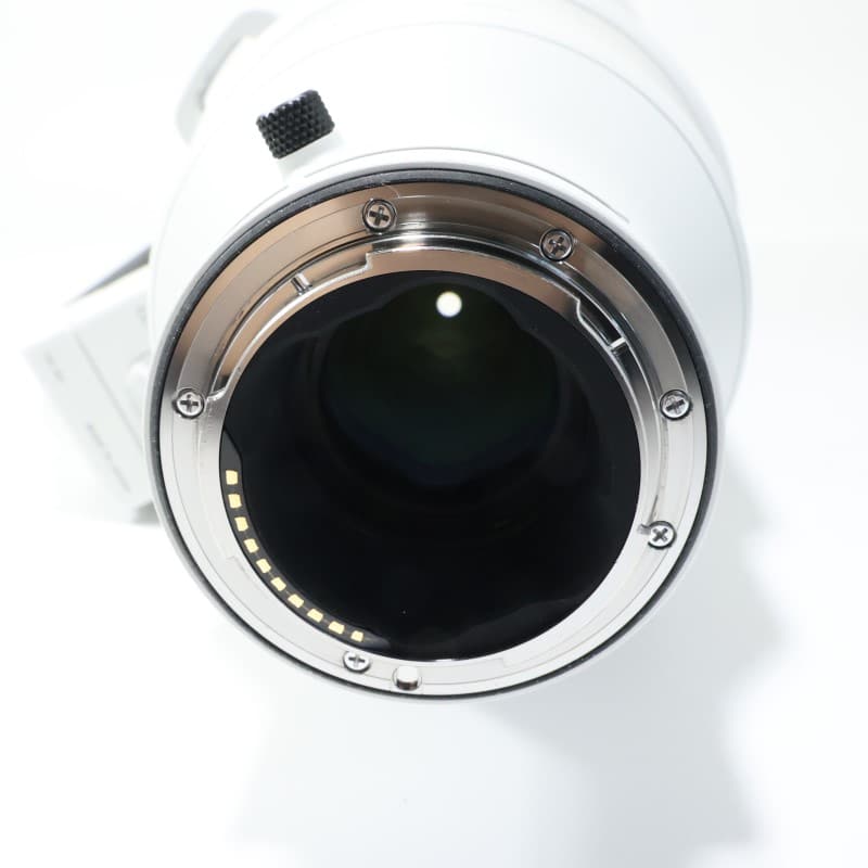 Sigma 300-600mm F4 DG OS | Sports ソニーEマウント