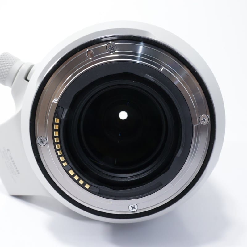 RF100-500mm F4.5-7.1 L IS USM