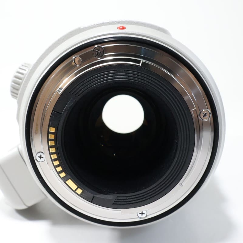 EF100-400mm F4.5-5.6L IS II USM