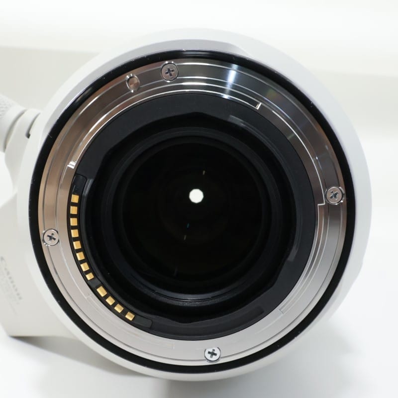 RF100-500mm F4.5-7.1 L IS USM