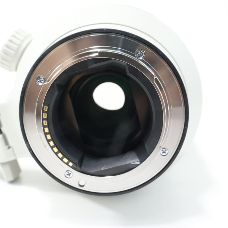 FE 100-400mm F4.5-5.6 GM OSS SEL100400GM