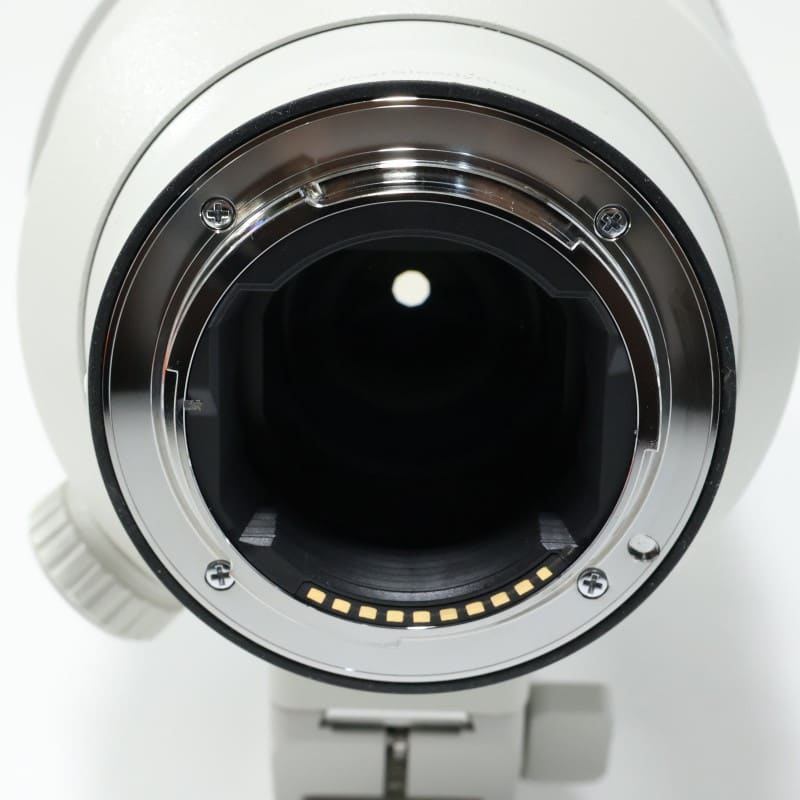 FE 100-400mm F4.5-5.6 GM OSS SEL100400GM