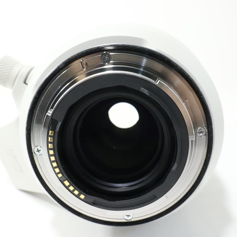 RF100-500mm F4.5-7.1 L IS USM