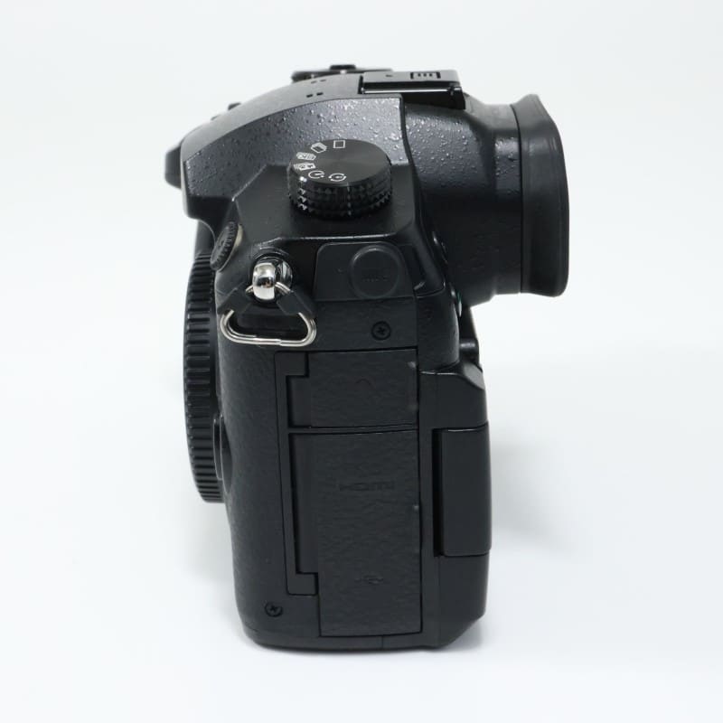 LUMIX GH5 DC-GH5-K