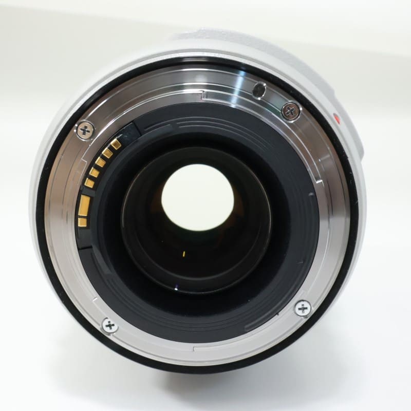 EF 70-300mm F4-5.6 L IS USM