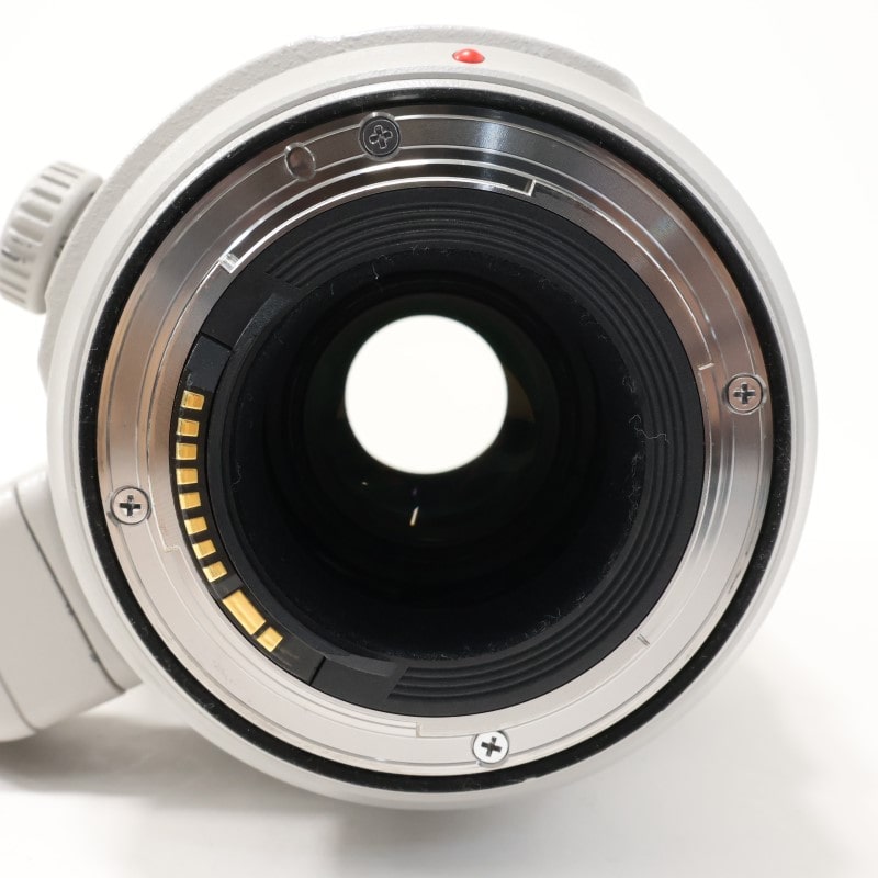 EF100-400mm F4.5-5.6L IS II USM