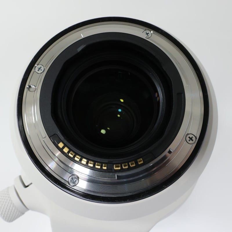 RF100-500mm F4.5-7.1 L IS USM