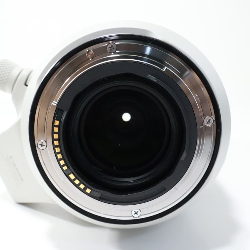 RF100-500mm F4.5-7.1 L IS USM