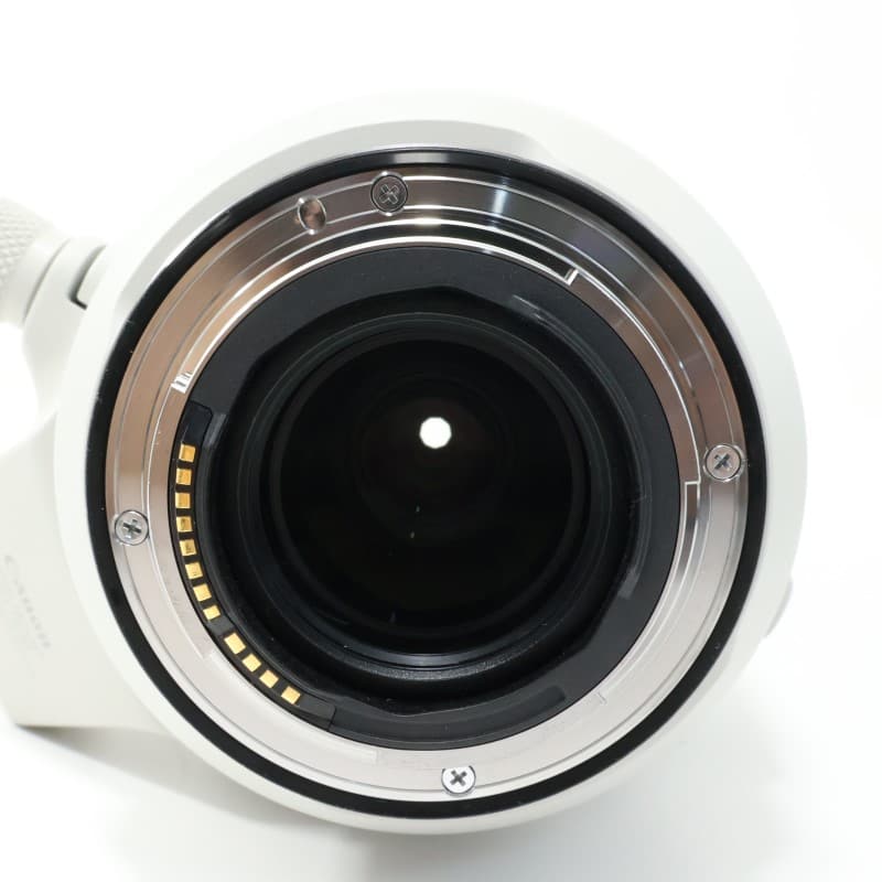 RF100-500mm F4.5-7.1 L IS USM