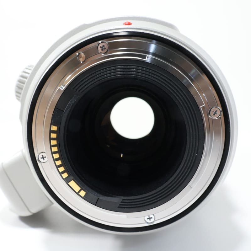 EF100-400mm F4.5-5.6L IS II USM