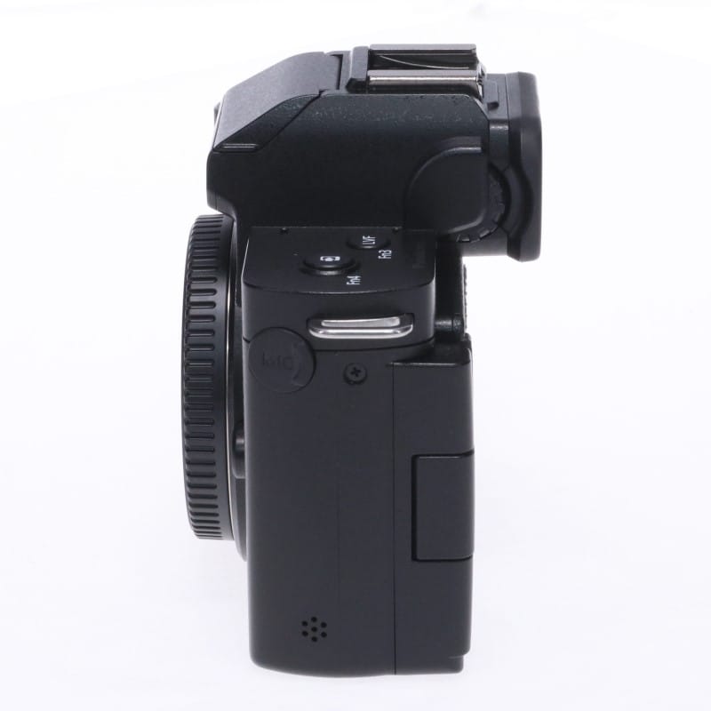 LUMIX G100 ボディ単体