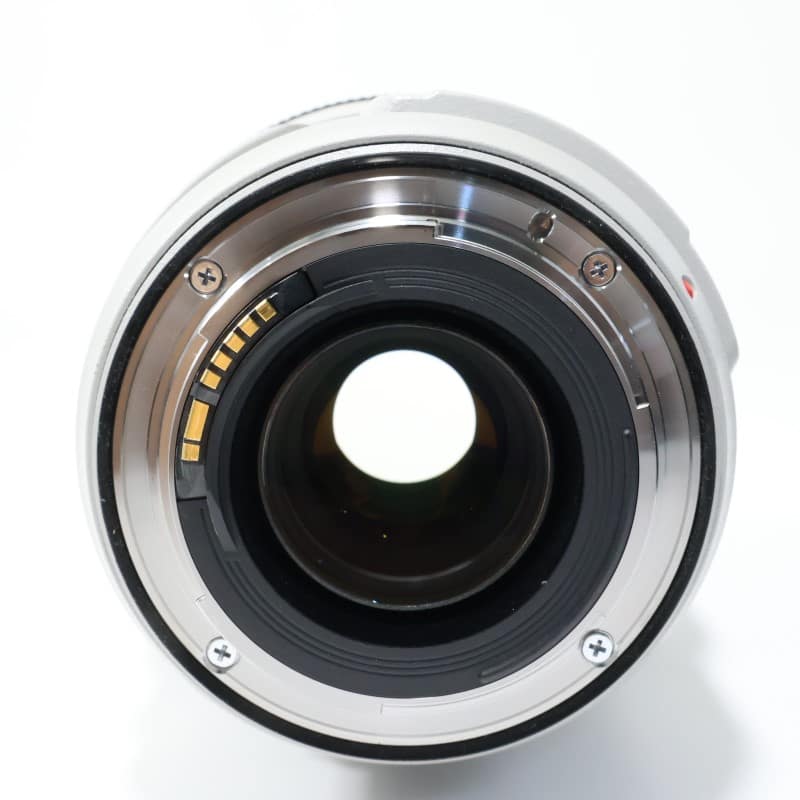 EF 70-300mm F4-5.6 L IS USM