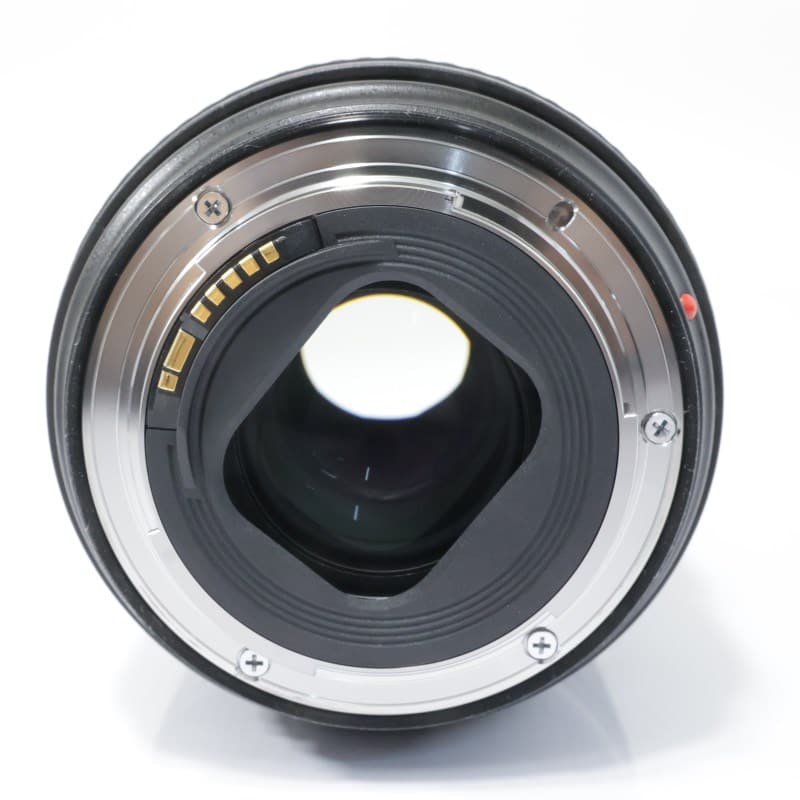 EF24-105mm F4L IS II USM