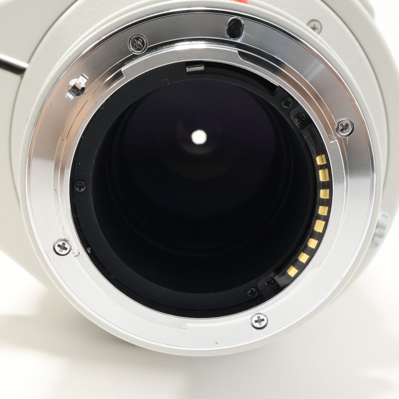 AF APO TELE 300mm F2.8 G (D) SSM