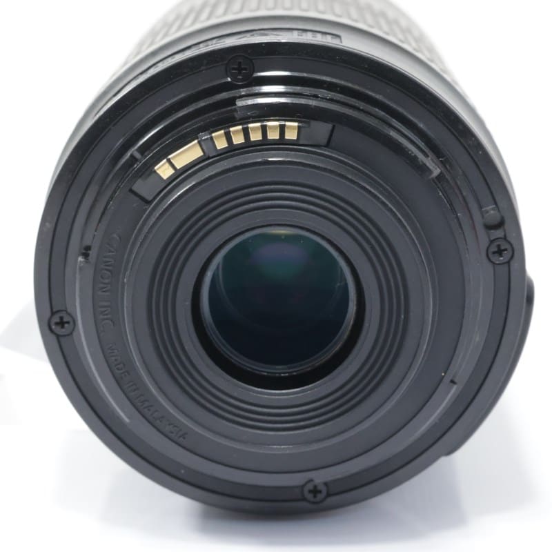 EF-S55-250mm F4-5.6 IS STM