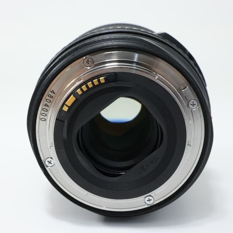 EF 24-105mm F4 L IS USM