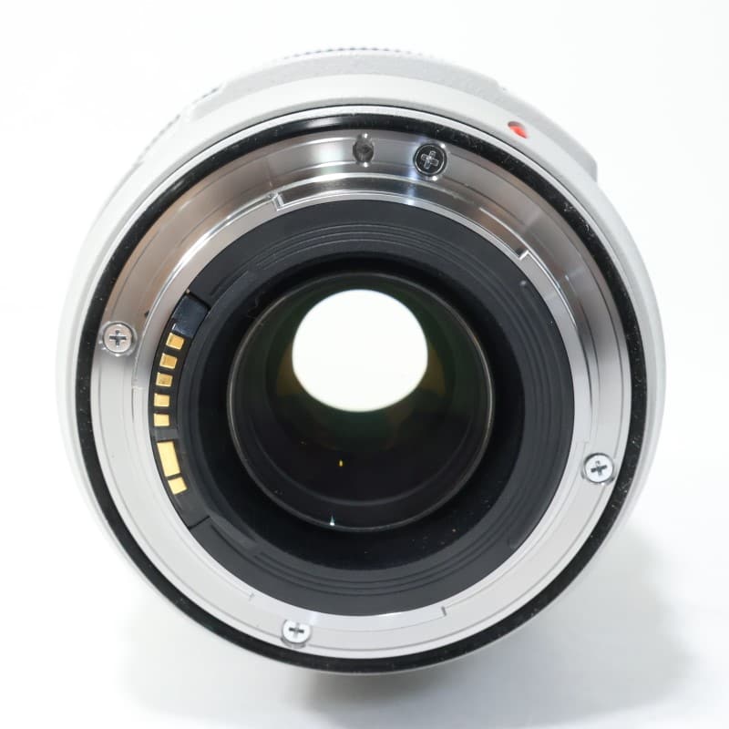 EF 70-300mm F4-5.6 L IS USM