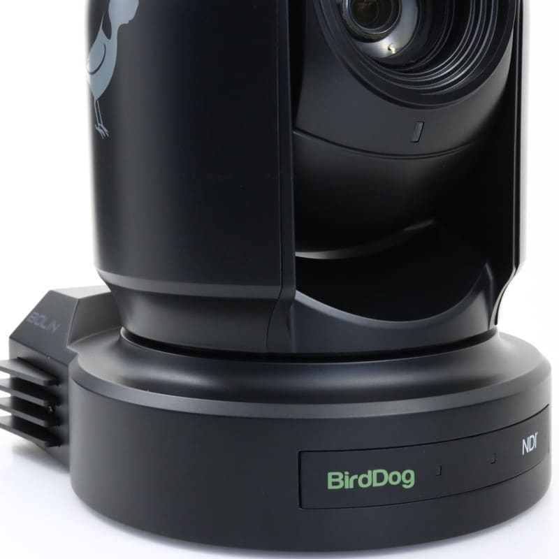 BirdDog EYES P200