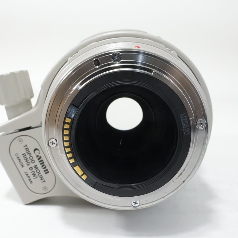 EF 100-400mm F4.5-5.6 L IS USM