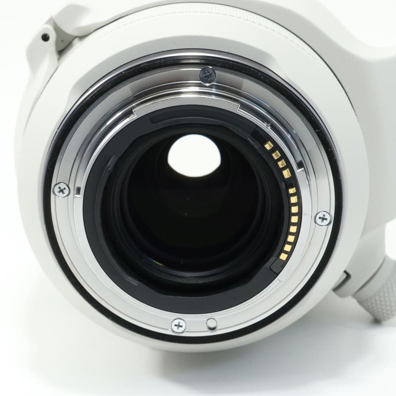 RF100-500mm F4.5-7.1 L IS USM