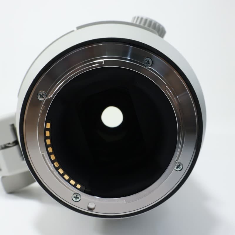 FE 200-600mm F5.6-6.3 G OSS SEL200600G