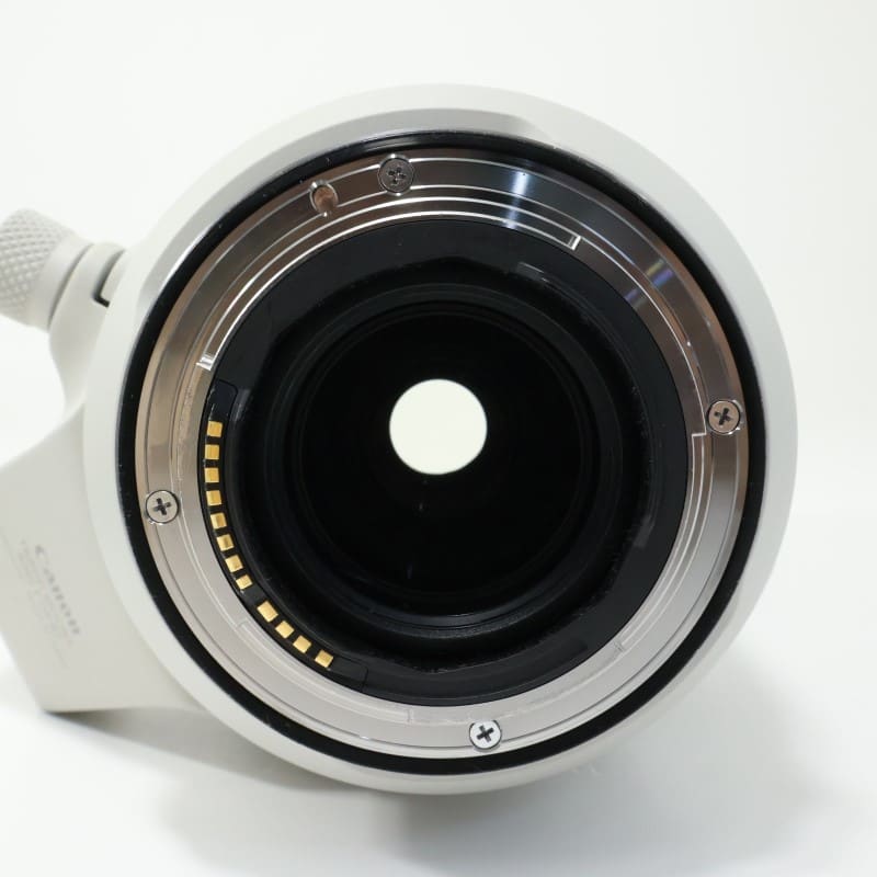 RF100-500mm F4.5-7.1 L IS USM