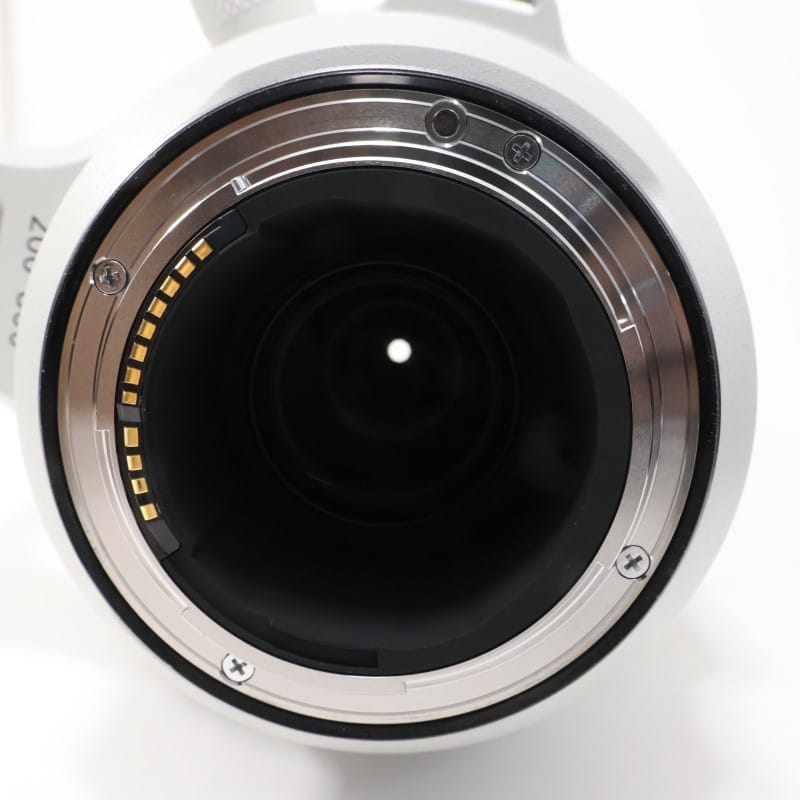 RF200-800mm F6.3-9 IS USM