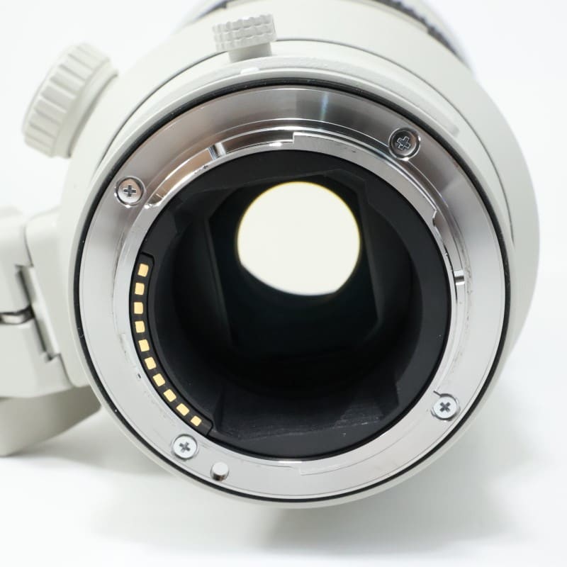 FE 300mm F2.8 GM OSS SEL300F28GM