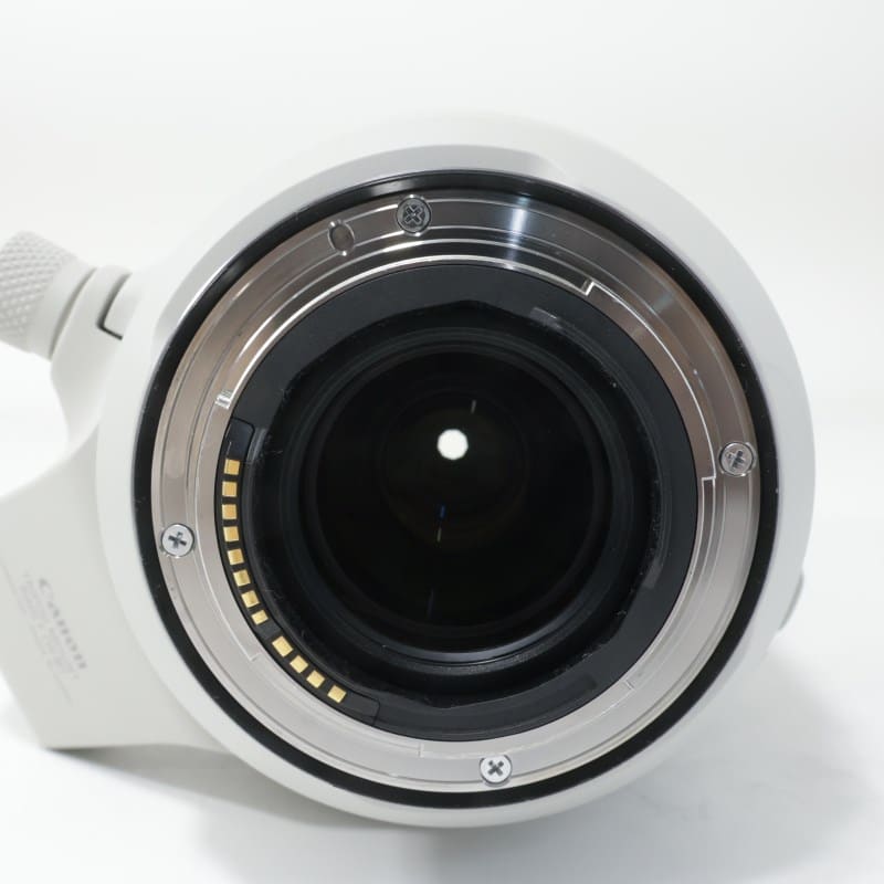 RF100-500mm F4.5-7.1 L IS USM