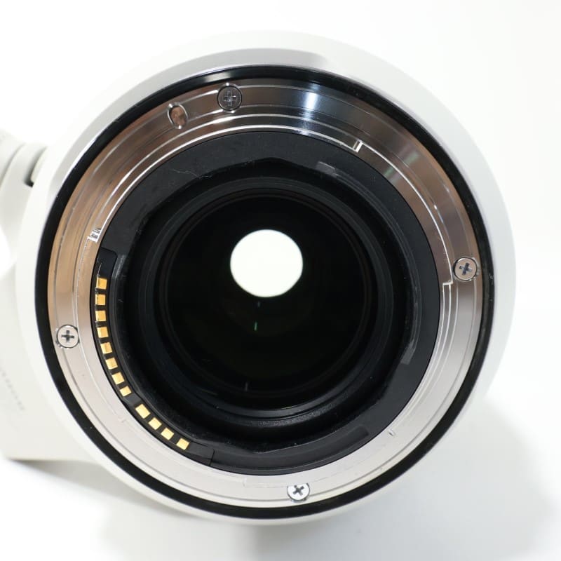 RF100-500mm F4.5-7.1 L IS USM