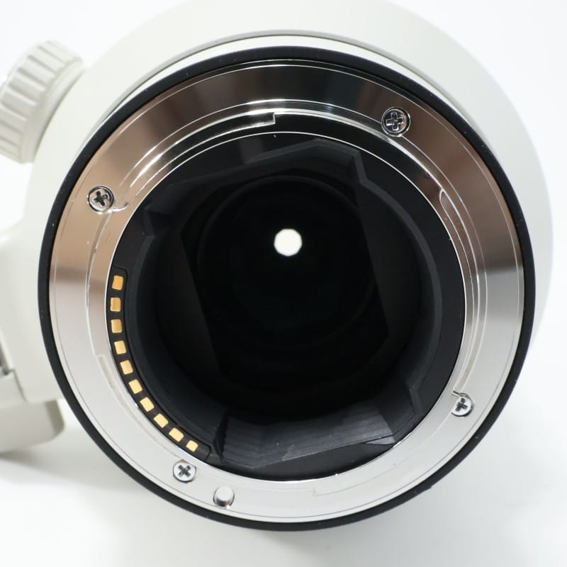 FE 100-400mm F4.5-5.6 GM OSS SEL100400GM