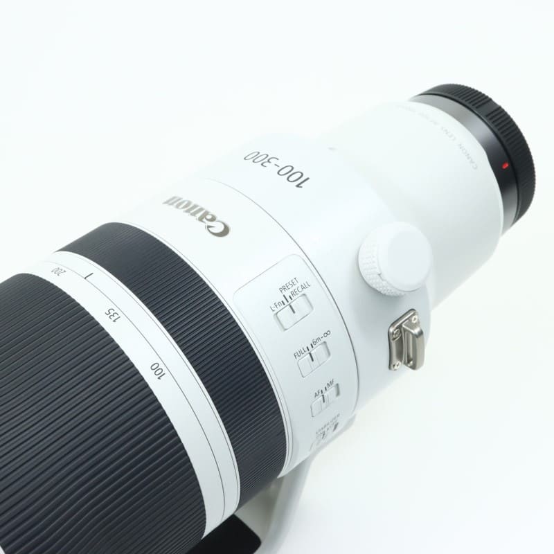 RF100-300mm F2.8 L IS USM
