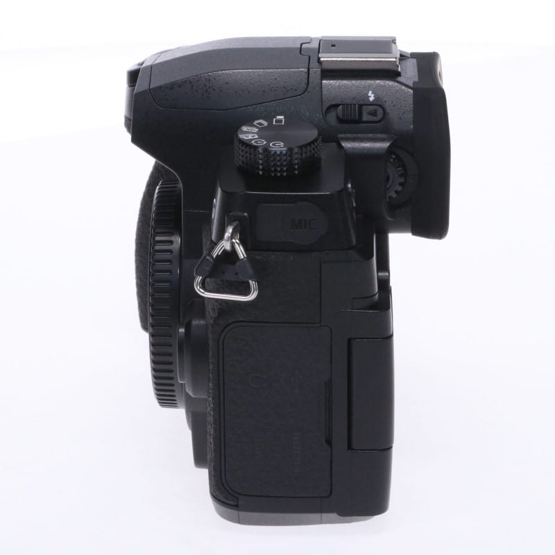 LUMIX DC-G99D
