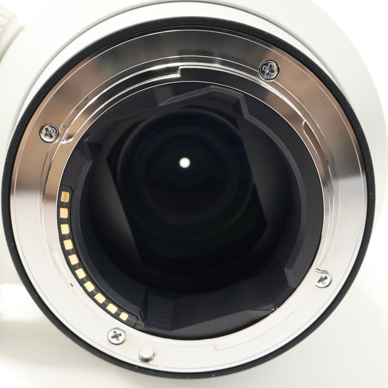 FE 100-400mm F4.5-5.6 GM OSS SEL100400GM