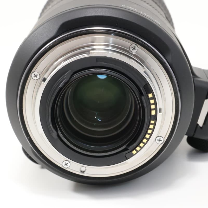 RF24-105mm F2.8 L IS USM Z