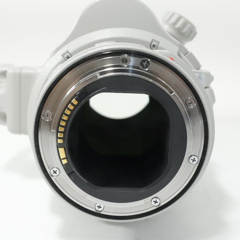 EF200-400mm F4L IS USM エクステンダー 1.4X