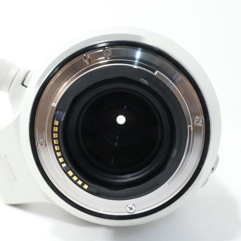 RF100-500mm F4.5-7.1 L IS USM