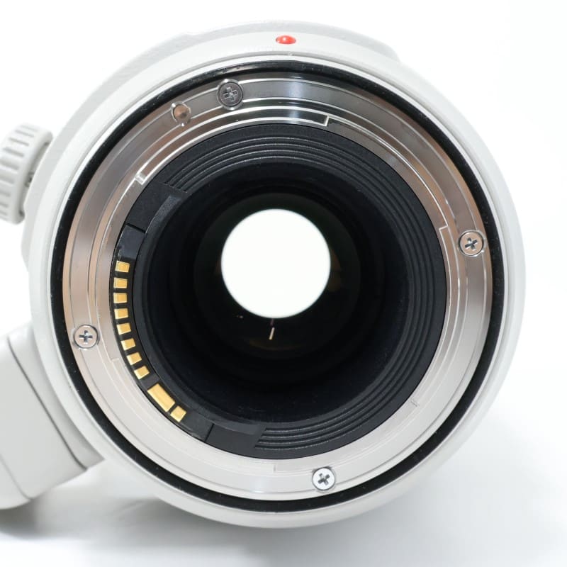 EF100-400mm F4.5-5.6L IS II USM
