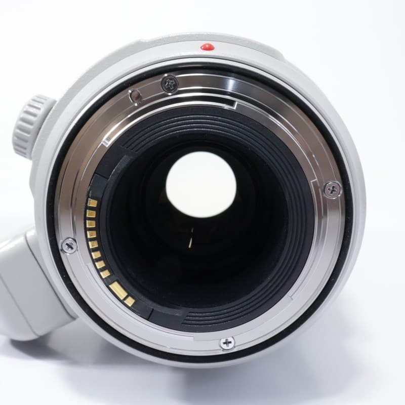 Canon EF100-400mm F4.5-5.6L IS II USM AB-ランク 中古｜フジヤカメラ