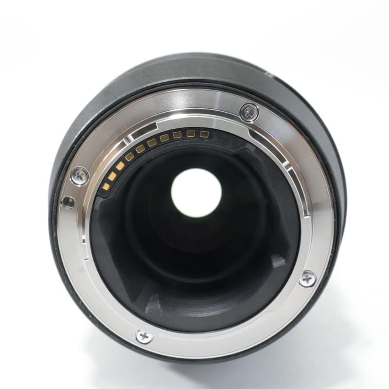 FE 100mm F2.8 Macro GM OSS SEL100M28GM