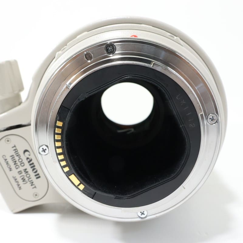 EF 300mm F4 L IS USM