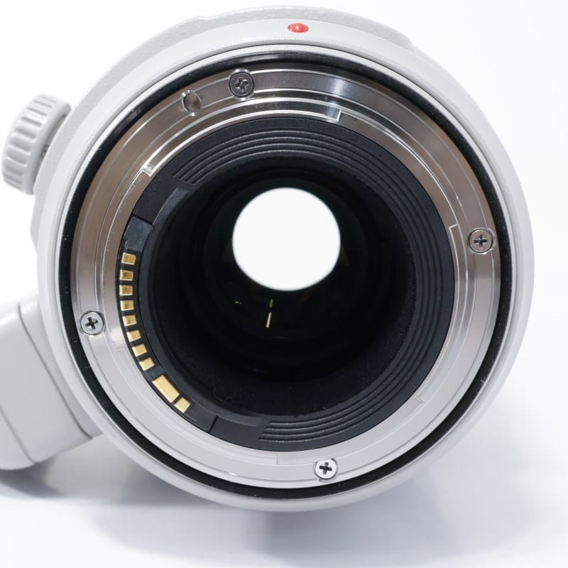 Canon EF100-400mm F4.5-5.6L IS II USM中古品 Canon EF100-400mm F4.5-5.6L IS II USM AB-ランク 中古｜フジヤカメラ