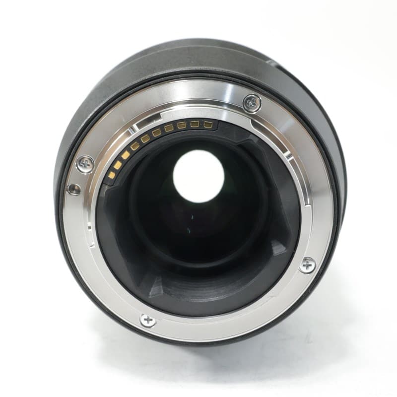 FE 100mm F2.8 Macro GM OSS SEL100M28GM