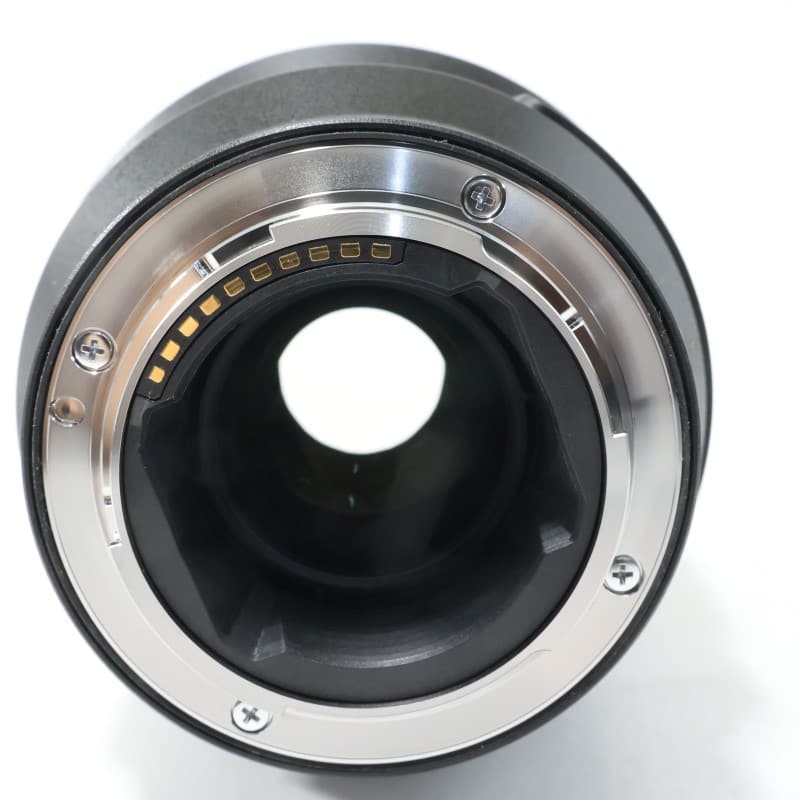 FE 100mm F2.8 Macro GM OSS SEL100M28GM