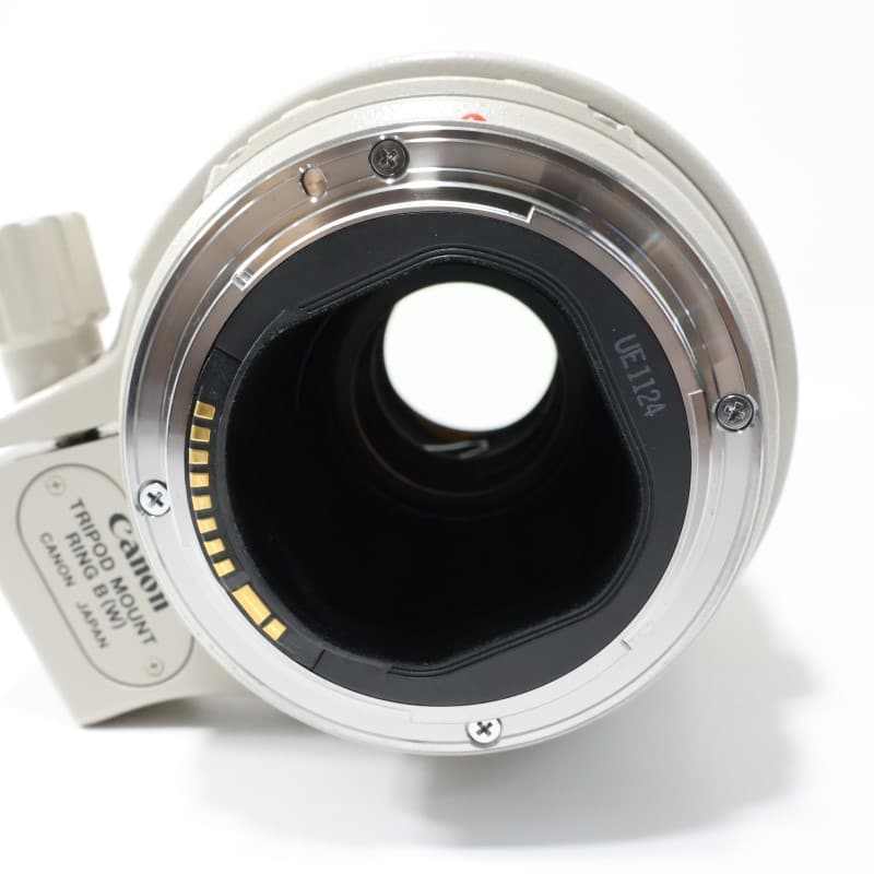 EF 300mm F4 L IS USM