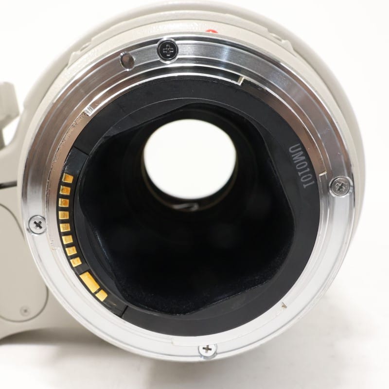 EF 300mm F4 L IS USM