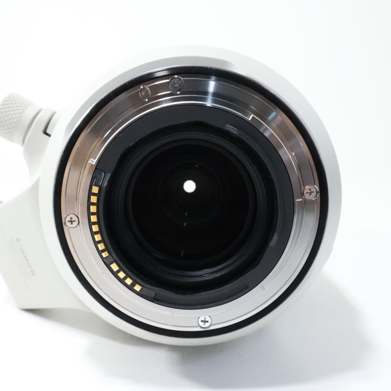 RF100-500mm F4.5-7.1 L IS USM