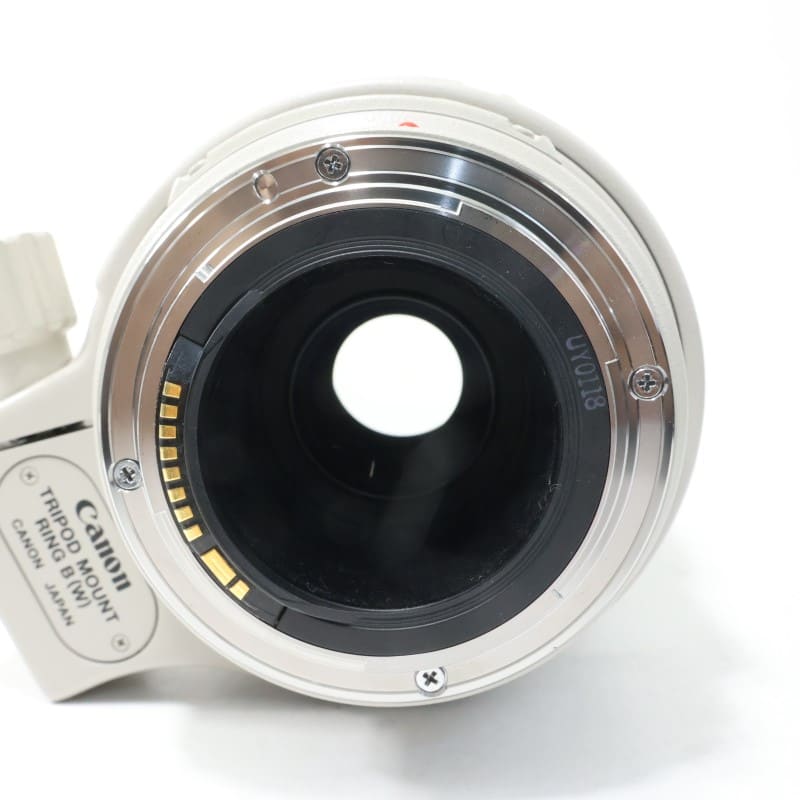 EF 100-400mm F4.5-5.6 L IS USM